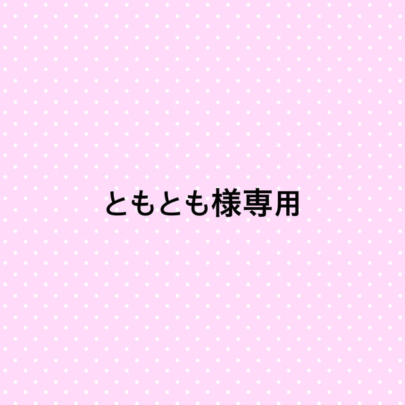 ともとも様専用 1枚目の画像