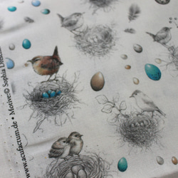 [140厘米x 50厘米]德國進口織物acufactum789鳥，鳥巢和雞蛋圖案的織物 第7張的照片