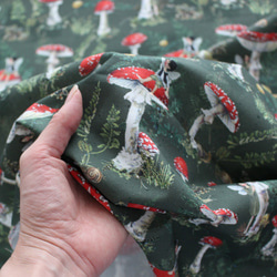 【145cm x 50cm】德國進口布料 acufactum820 蘑菇、鵝膏和仙女布料 綠色 第3張的照片