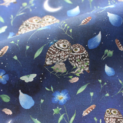 140cm×50cm】ドイツ輸入生地 acufactum837 夜のフクロウの生地ブルー  