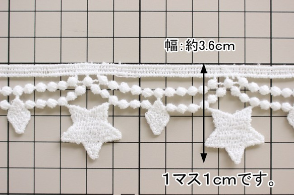 橙色（南瓜）色大明星和鑽石配飾種族【25386】 第3張的照片