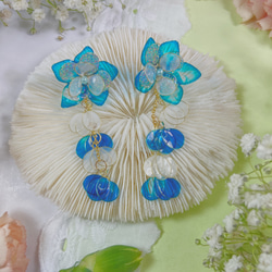 明るい貝殻の海の花 2枚目の画像