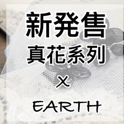 素面鑽黑花/真花系列X Earth 第4張的照片