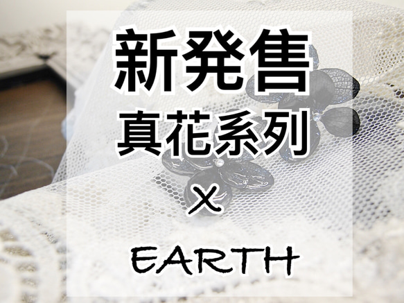 素面鑽黑花/真花系列X Earth 第4張的照片