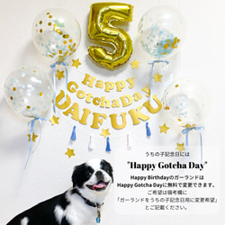 コンフェッティバルーンバースデーキット（ベビーピンク）　誕生日　壁飾り　飾り付け　1歳　ガーランド 9枚目の画像