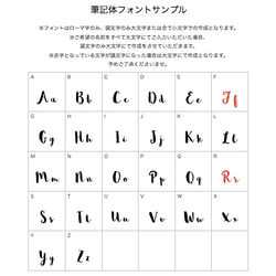 【半歲生日】珍寶花半歲套裝（琥珀棕、草書花環）生日擺件擺件 第2張的照片