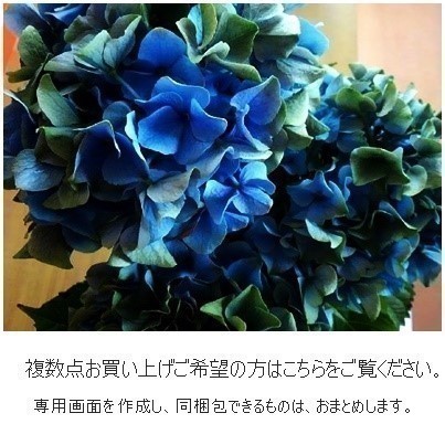 複数点お買い上げご希望の方はこちらをご覧ください　同梱包できるものは同梱包します