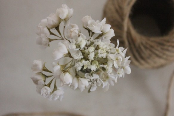 白い野花のヘアピン 1枚目の画像