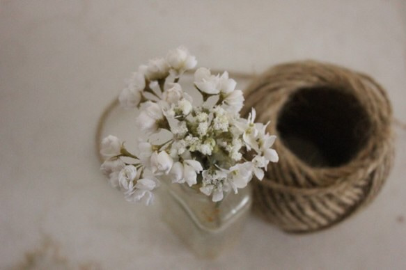 白い野花のヘアピン 2枚目の画像