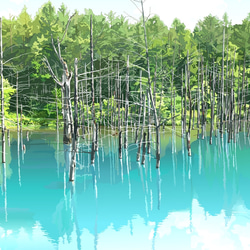 A4サイズ「美瑛の青い池」 4枚目の画像