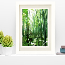 A4サイズ「竹林で抹茶」 1枚目の画像