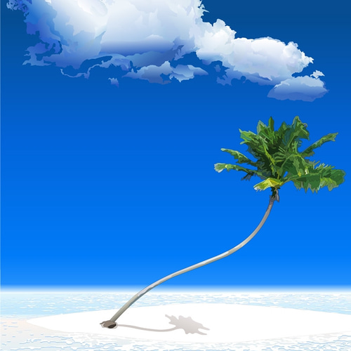 ヤシの木とハイビスカス」透明水彩画 原画 風景画 額縁付 SM