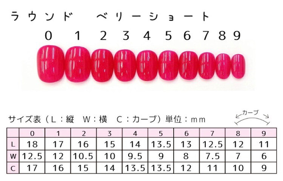 サイズ測定用チップ 3枚目の画像