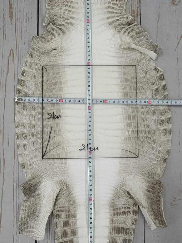 【ムック様専用商品】ワニ革 クロコ ヒマラヤ ナチュラル No.C002392 7枚目の画像