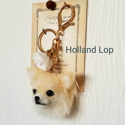 1_db99cb469a4cc7b144fccda0c5e4