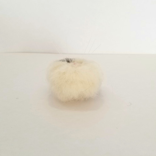 羊毛フェルト エキゾチックオーダー エキゾチックショートヘア うちの子 羊毛フェルト｜写真から作る 愛猫