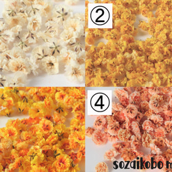 セミオーダーかすみ草15輪　選べる26色カラー、お花の形、サイズを自分でチョイス！ 1枚目の画像