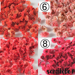 セミオーダーかすみ草15輪　選べる26色カラー、お花の形、サイズを自分でチョイス！ 2枚目の画像
