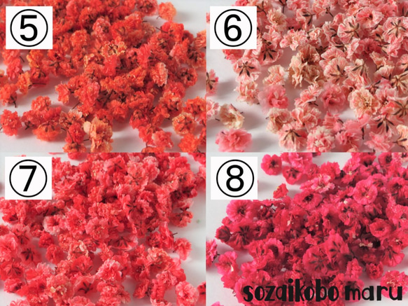 セミオーダーかすみ草15輪　選べる26色カラー、お花の形、サイズを自分でチョイス！ 2枚目の画像