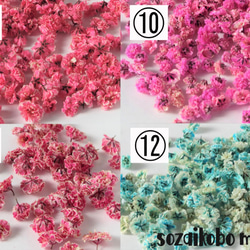 セミオーダーかすみ草15輪　選べる26色カラー、お花の形、サイズを自分でチョイス！ 3枚目の画像