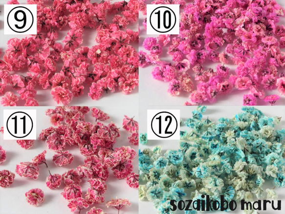 セミオーダーかすみ草15輪　選べる26色カラー、お花の形、サイズを自分でチョイス！ 3枚目の画像