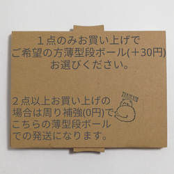 送料無料！最安値！かすみ草44マーブルマーブル ブルーグリーン系　ドライフラワー 5枚目の画像