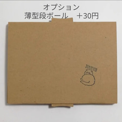 送料無料！最安値！かすみ草45マーブルマーブル ネイビー系　ドライフラワーボタニカルアクセサリー作りに 6枚目の画像