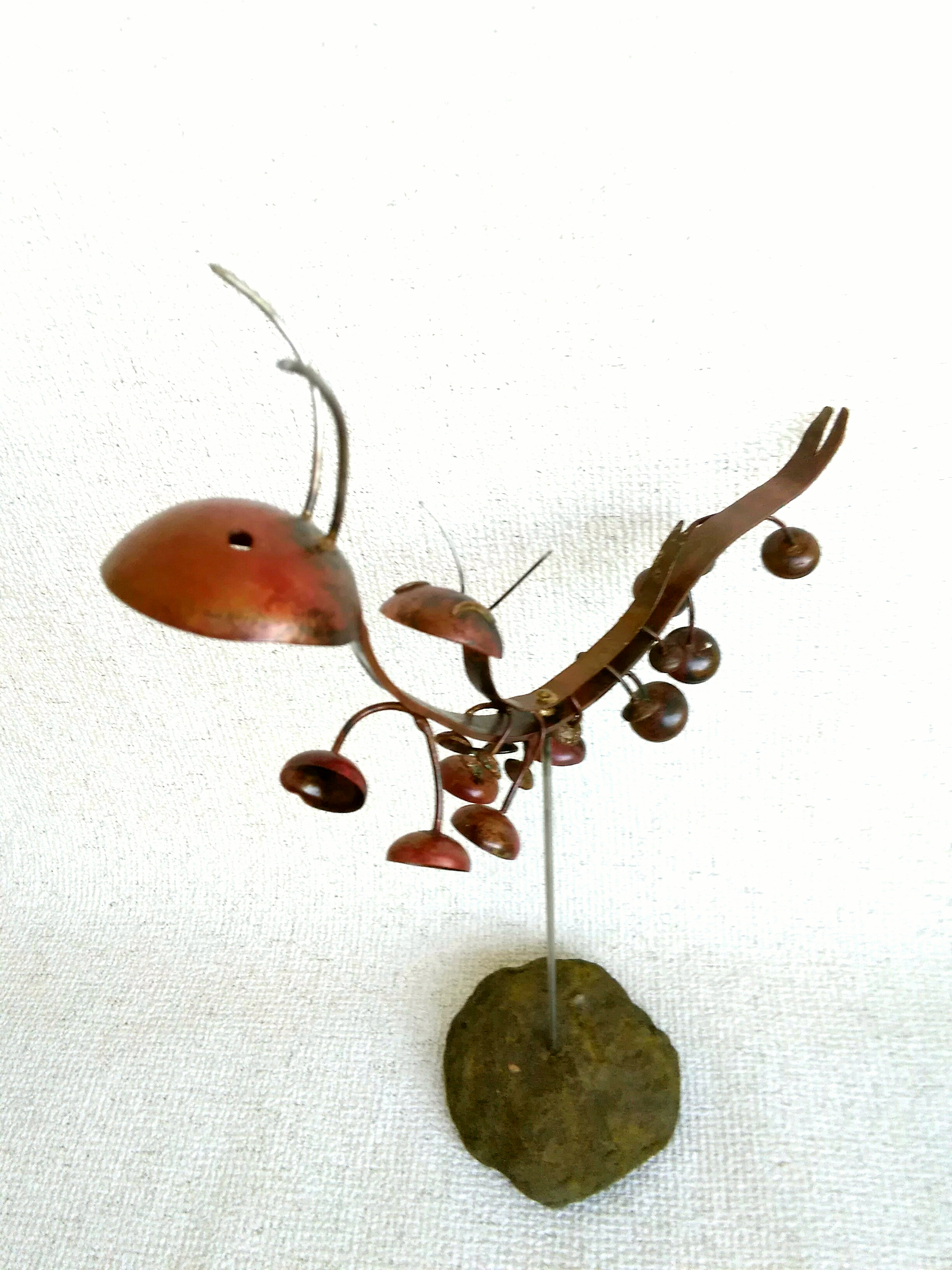 ムカデの親子の夜さんぽ