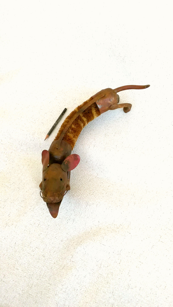 タワシイヌ　　(一点物) 10枚目の画像