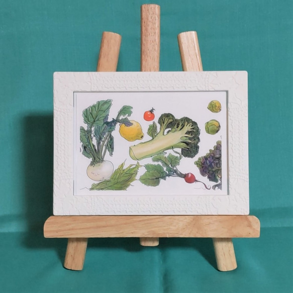 フレッシュ野菜のポストカード『 ブロッコリー・カブ 』　水彩画 2枚目の画像