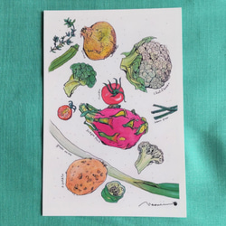 『 ドラゴンフルーツ・野菜・ハーブ 』のポストカード 水彩画 1枚目の画像