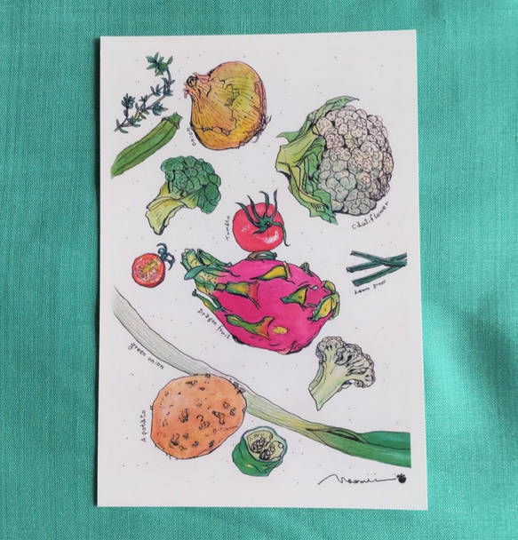『 ドラゴンフルーツ・野菜・ハーブ 』のポストカード 水彩画 1枚目の画像