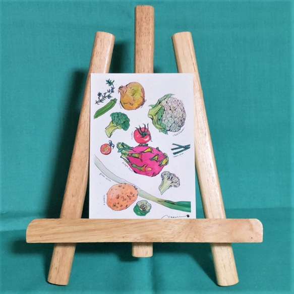 『 ドラゴンフルーツ・野菜・ハーブ 』のポストカード 水彩画 2枚目の画像