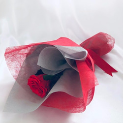【プリザーブドフラワー／赤薔薇のふんわり一輪ラッピング】 1枚目の画像