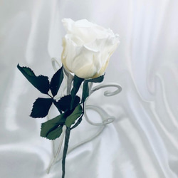 【プリザーブドフラワー／白薔薇のふんわり一輪ラッピング】 2枚目の画像