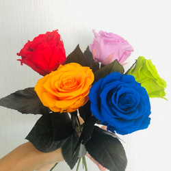 プリザーブドフラワー/赤青紫緑オレンジの薔薇5輪花束（花束ラッピング） 4枚目の画像