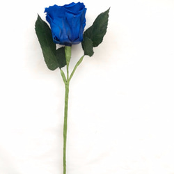 【プリザーブドフラワー／青い薔薇の祝福一輪ラッピング】 4枚目の画像