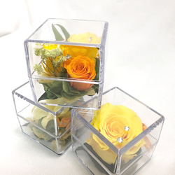 クリアキューブの中に咲く黄色い花たちの時間／プリザーブドフラワー／ギフトボックス付き 1枚目の画像