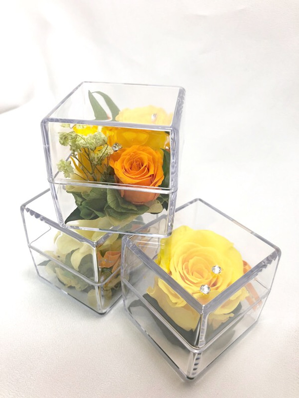 クリアキューブの中に咲く黄色い花たちの時間／プリザーブドフラワー／ギフトボックス付き 1枚目の画像