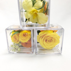 クリアキューブの中に咲く黄色い花たちの時間／プリザーブドフラワー／ギフトボックス付き 2枚目の画像