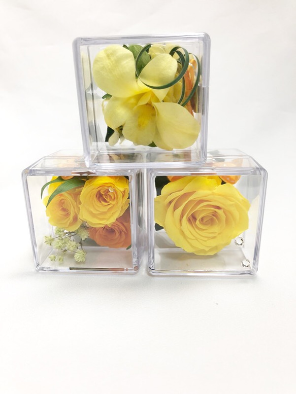 クリアキューブの中に咲く黄色い花たちの時間／プリザーブドフラワー／ギフトボックス付き 2枚目の画像