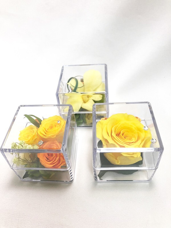 クリアキューブの中に咲く黄色い花たちの時間／プリザーブドフラワー／ギフトボックス付き 4枚目の画像