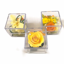 クリアキューブの中に咲く黄色い花たちの時間／プリザーブドフラワー／ギフトボックス付き 6枚目の画像