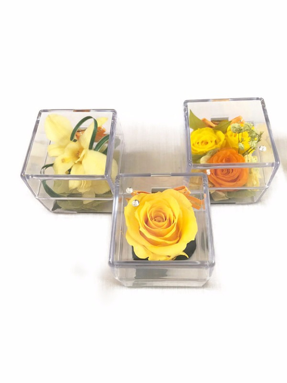 クリアキューブの中に咲く黄色い花たちの時間／プリザーブドフラワー／ギフトボックス付き 6枚目の画像