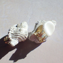 【陶土】Apple Murex 巻貝のほっこりイヤリング　蝶バネ 8枚目の画像
