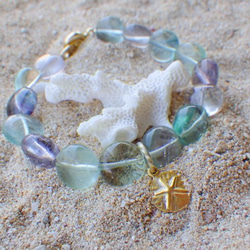 ⭐︎fluorite beach bracelet-sand dollar 4枚目の画像