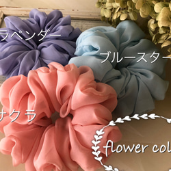 flower*colar･･･サクラ･･･ 5枚目の画像