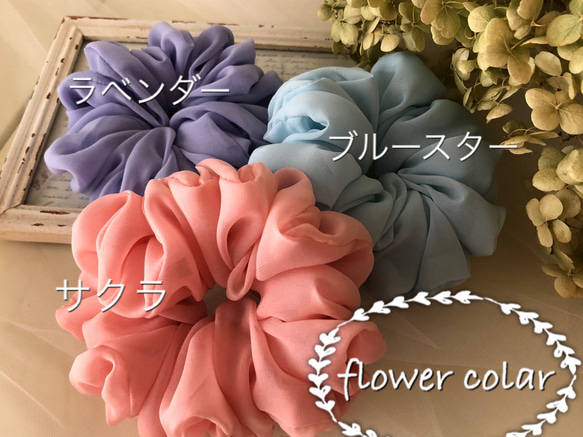 flower*colar･･･サクラ･･･ 5枚目の画像