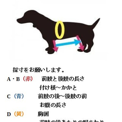 介護犬（はるか様、リングタイプ）四輪歩行器 7枚目の画像