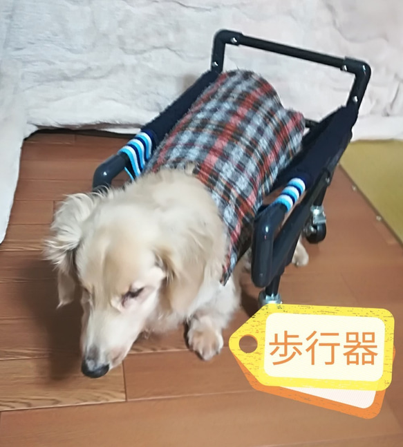 介護犬/老犬/リハビリ犬(ちな様、リングタイプ)四輪歩行器 介護犬/老犬/リハビリ犬(ちな様、リングタイプ)四輪歩行器